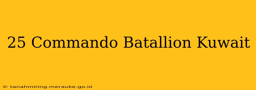 25 Commando Batallion Kuwait