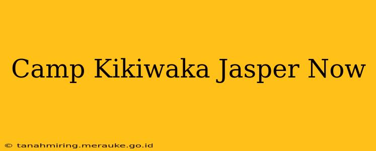 Camp Kikiwaka Jasper Now