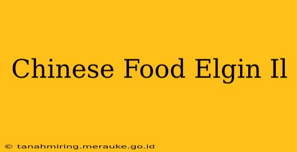Chinese Food Elgin Il