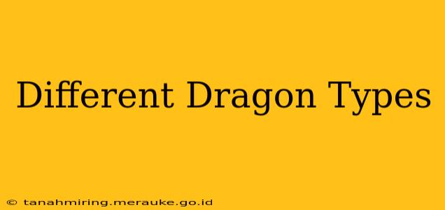 Different Dragon Types