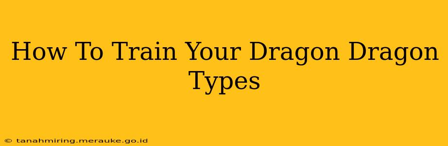 How To Train Your Dragon Dragon Types