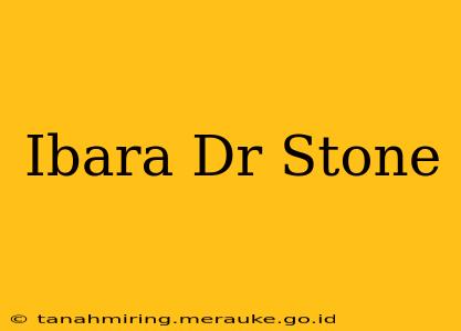 Ibara Dr Stone