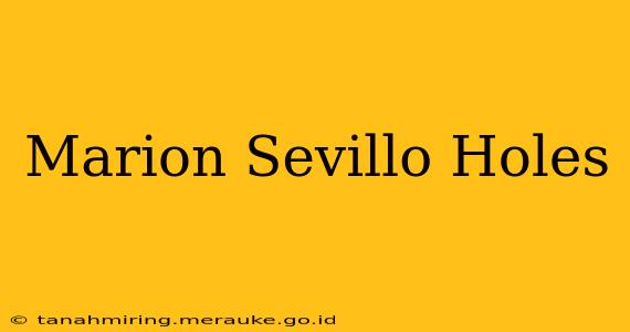 Marion Sevillo Holes