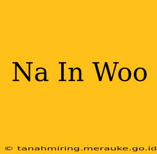 Na In Woo