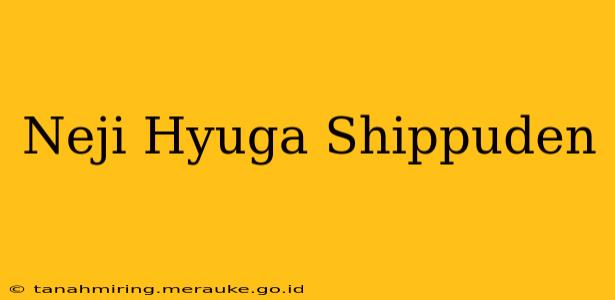 Neji Hyuga Shippuden