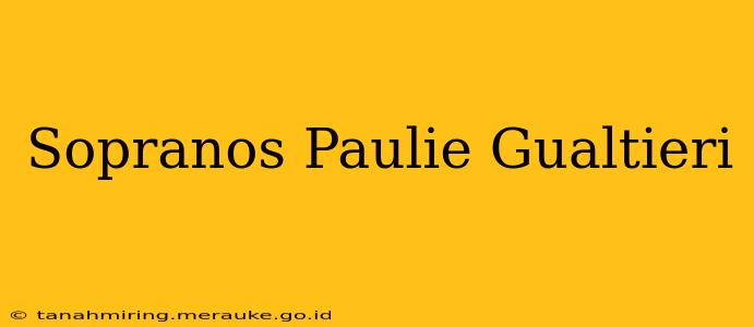 Sopranos Paulie Gualtieri