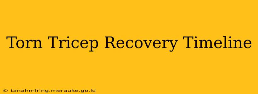 Torn Tricep Recovery Timeline