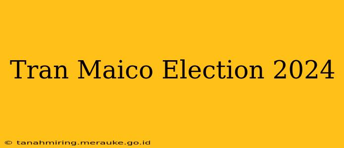 Tran Maico Election 2024