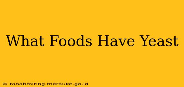 What Foods Have Yeast