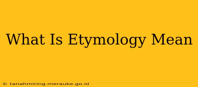 What Is Etymology Mean