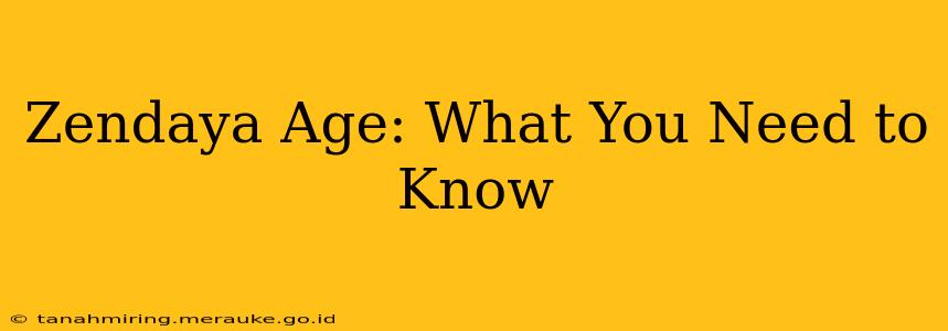 Zendaya Age: What You Need to Know