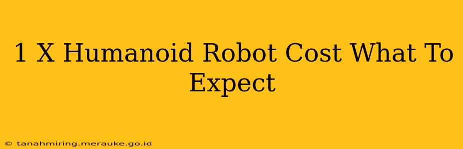 1 X Humanoid Robot Cost What To Expect