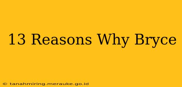 13 Reasons Why Bryce