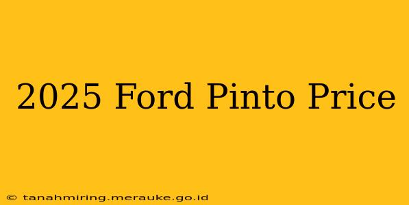 2025 Ford Pinto Price