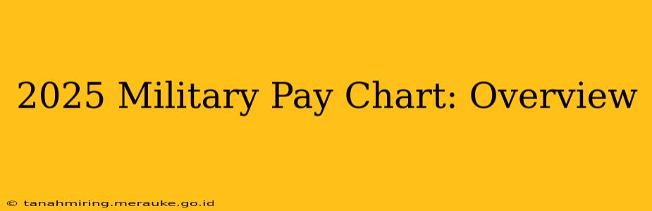 2025 Military Pay Chart: Overview