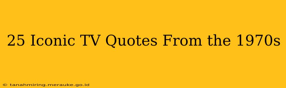 25 Iconic TV Quotes From the 1970s