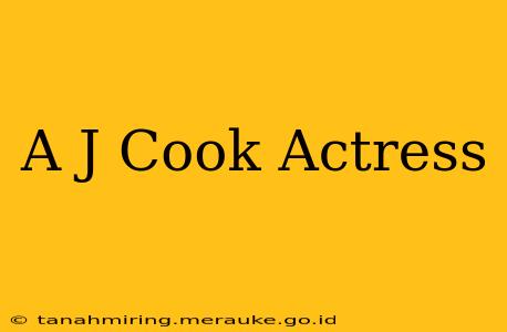 A J Cook Actress