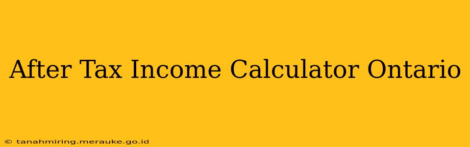 After Tax Income Calculator Ontario