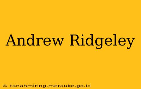 Andrew Ridgeley