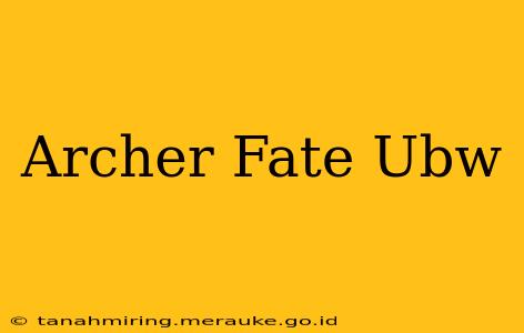 Archer Fate Ubw