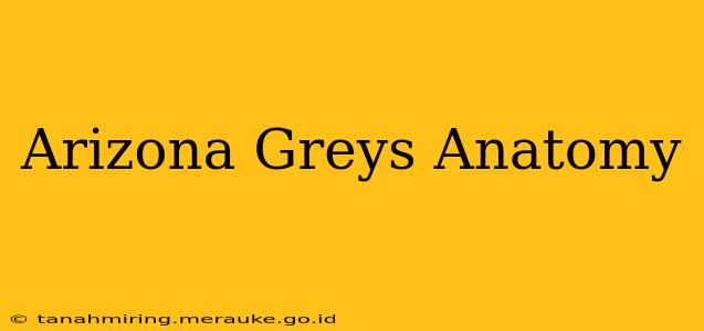 Arizona Greys Anatomy