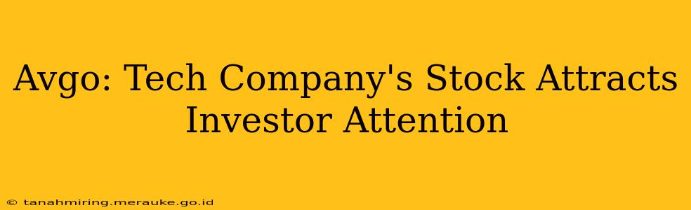 Avgo: Tech Company's Stock Attracts Investor Attention
