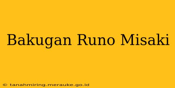 Bakugan Runo Misaki