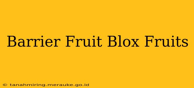 Barrier Fruit Blox Fruits