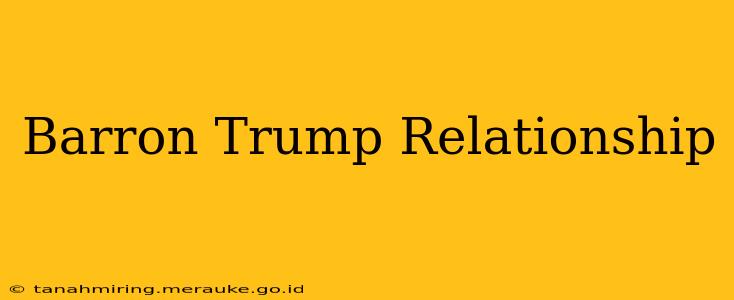 Barron Trump Relationship