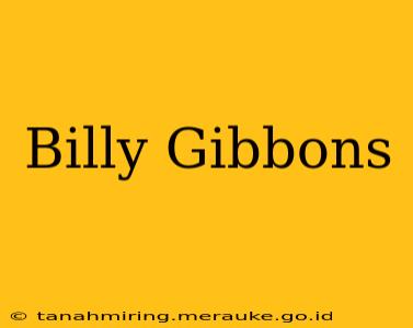Billy Gibbons