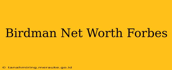Birdman Net Worth Forbes