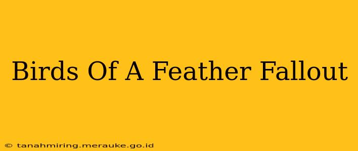 Birds Of A Feather Fallout