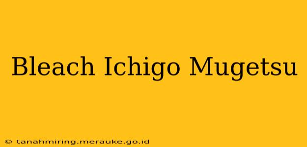 Bleach Ichigo Mugetsu