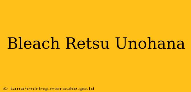 Bleach Retsu Unohana
