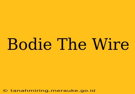 Bodie The Wire