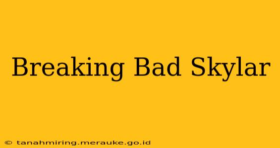 Breaking Bad Skylar