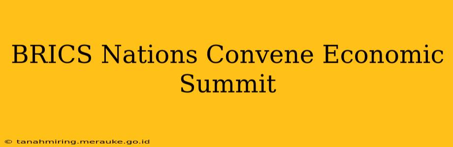 BRICS Nations Convene Economic Summit
