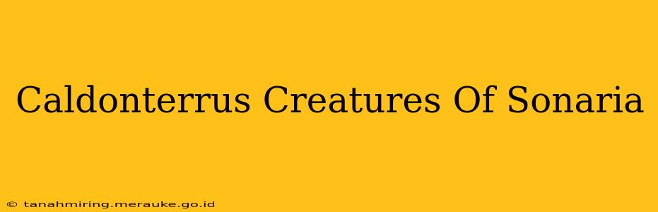 Caldonterrus Creatures Of Sonaria