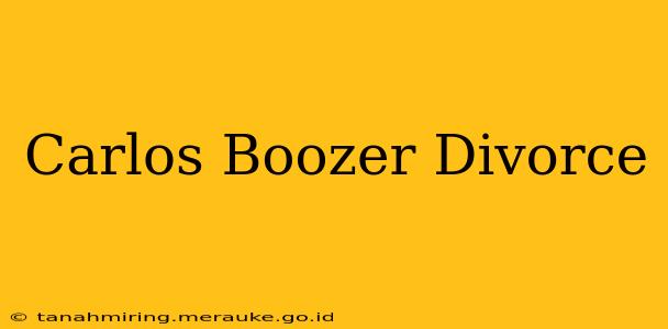 Carlos Boozer Divorce