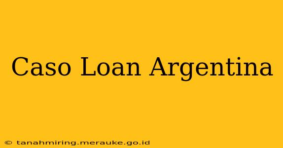 Caso Loan Argentina