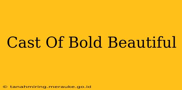 Cast Of Bold Beautiful