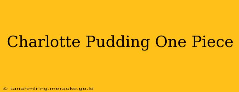 Charlotte Pudding One Piece