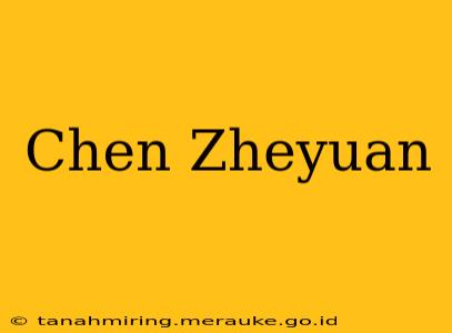 Chen Zheyuan