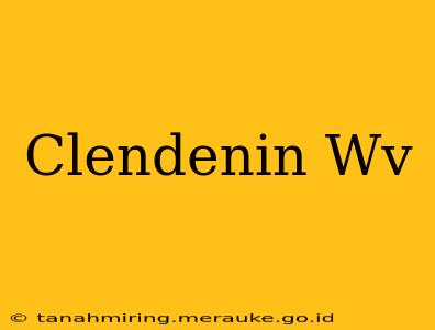 Clendenin Wv