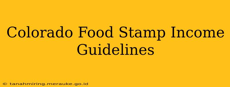 Colorado Food Stamp Income Guidelines