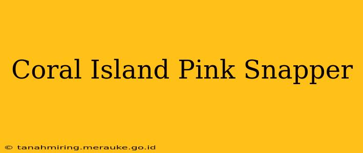 Coral Island Pink Snapper