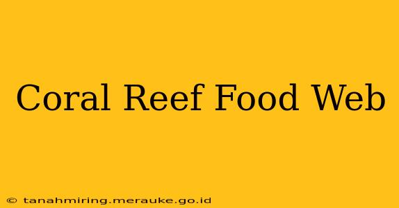 Coral Reef Food Web