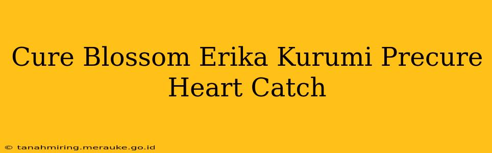 Cure Blossom Erika Kurumi Precure Heart Catch