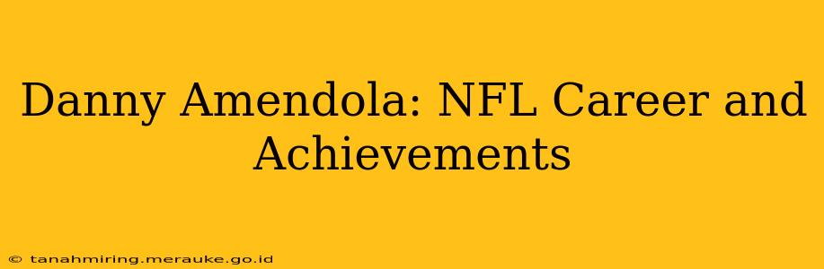 Danny Amendola: NFL Career and Achievements
