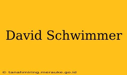 David Schwimmer